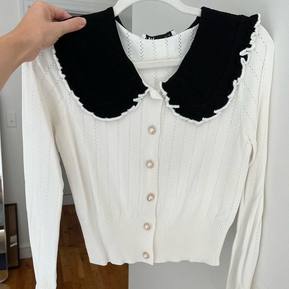 White and Black Peter Pan Long Sleeve Button Down (Zara)